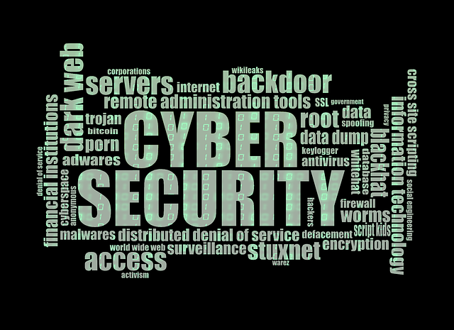 This image contains methods of cyber security.