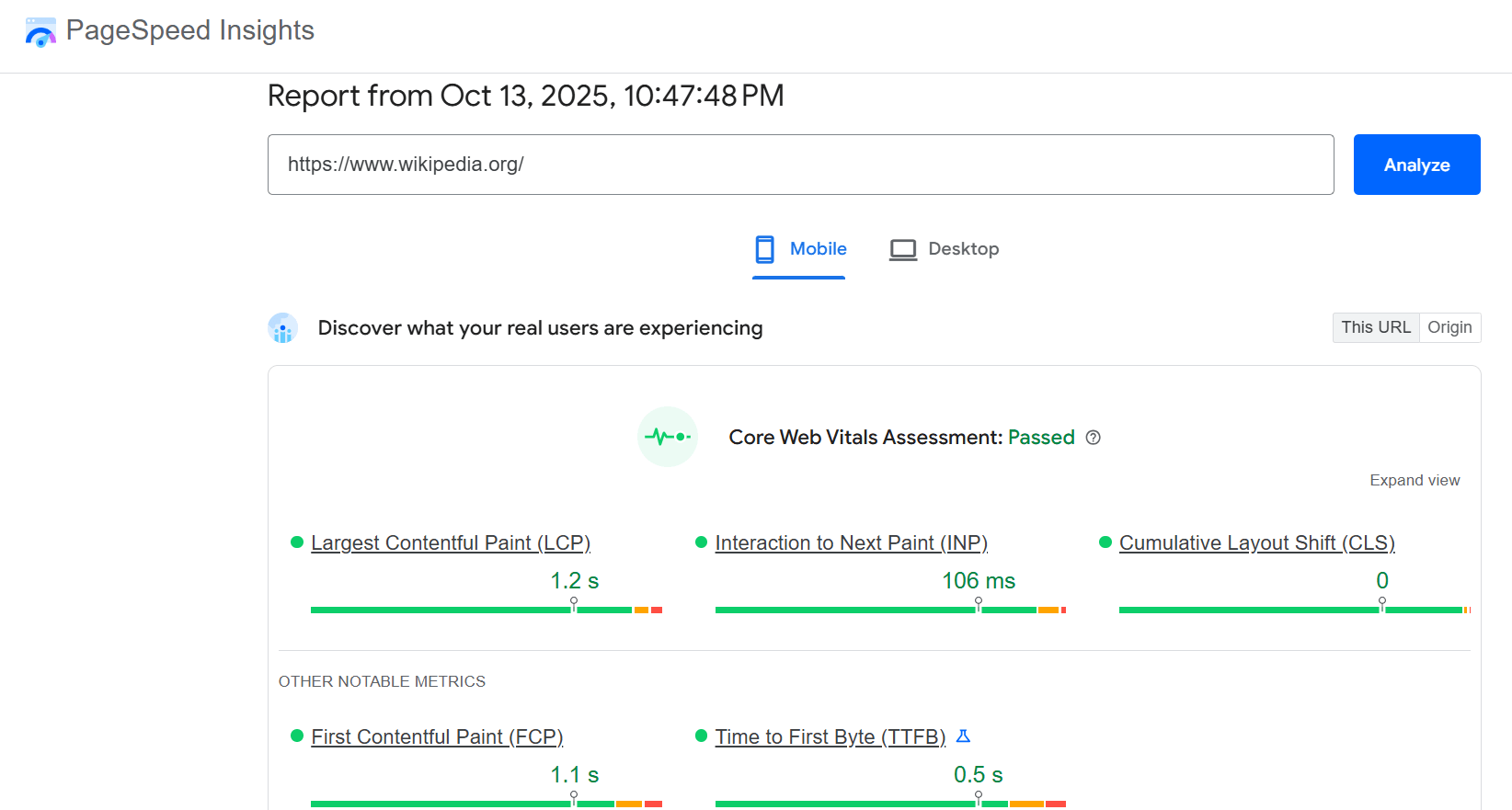 Google Page Speed Insights report for website performance
